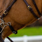 TRUST bridle Hickstead Hackamore bridle gold buckles Brown