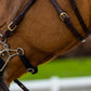 TRUST bridle Hickstead Hackamore bridle gold buckles Brown