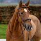 TRUST bridle Hickstead Hackamore bridle gold buckles Brown