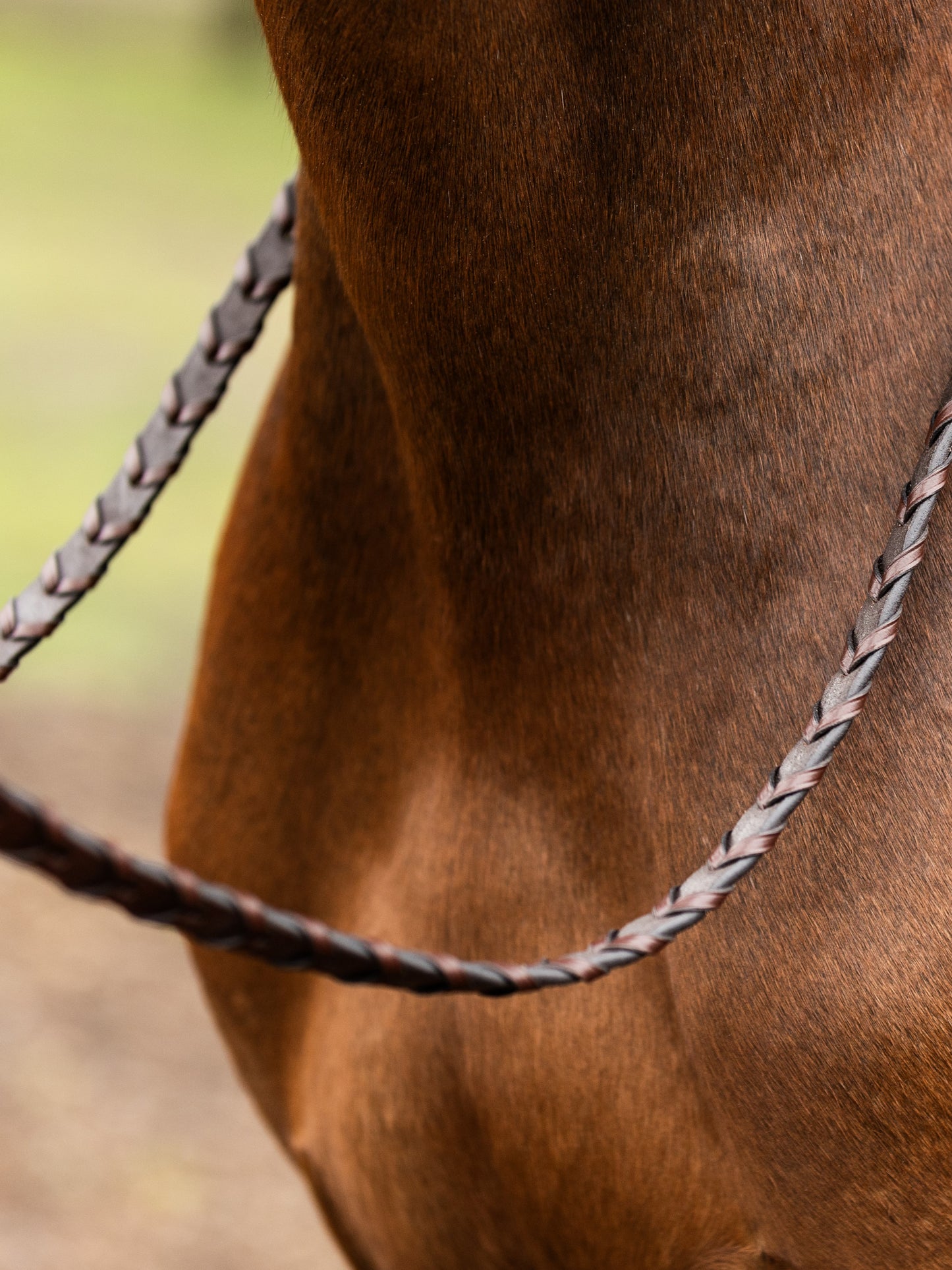 TRUST  Hunter reins Braided silver buckles Brown