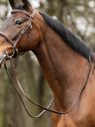 TRUST  Hunter reins Braided silver buckles Brown