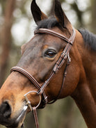 TRUST hoofdstel Hunter Kentucky zilveren gesp Bruin