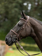TRUST hoofdstel Knokke gecombineerde neusriem zilveren gesp Bruin