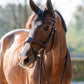 TRUST bridle Falsterbo T-Motion silver buckles Brown