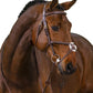 TRUST bridle Oslo figure 8 noseband gold buckles Brown