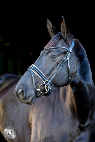 LJ Leathers Bridle Pro Selected Noseband with Patent Leather Sunline Black