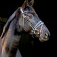 LJ Leathers Bridle Pro Selected Noseband with Patent Leather Sunline Black