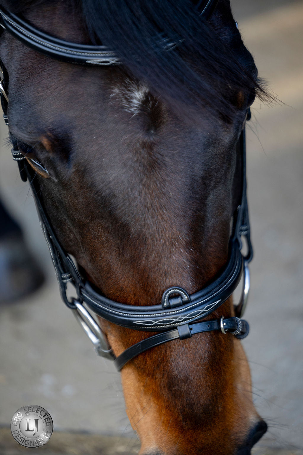 LJ Leathers Pro Selected bridle flash noseband Heritage Black