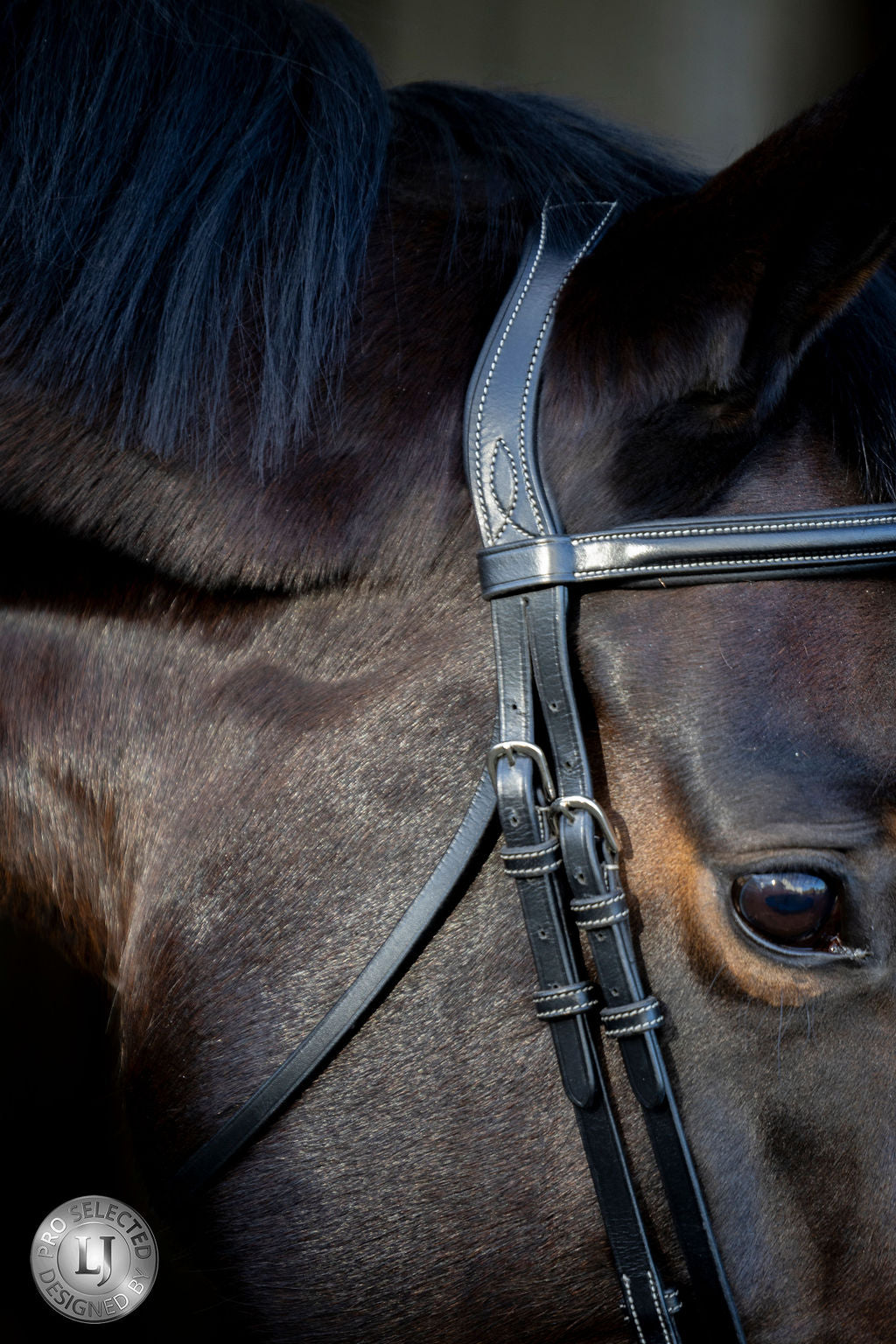 LJ Leathers Pro Selected bridle flash noseband Heritage Black