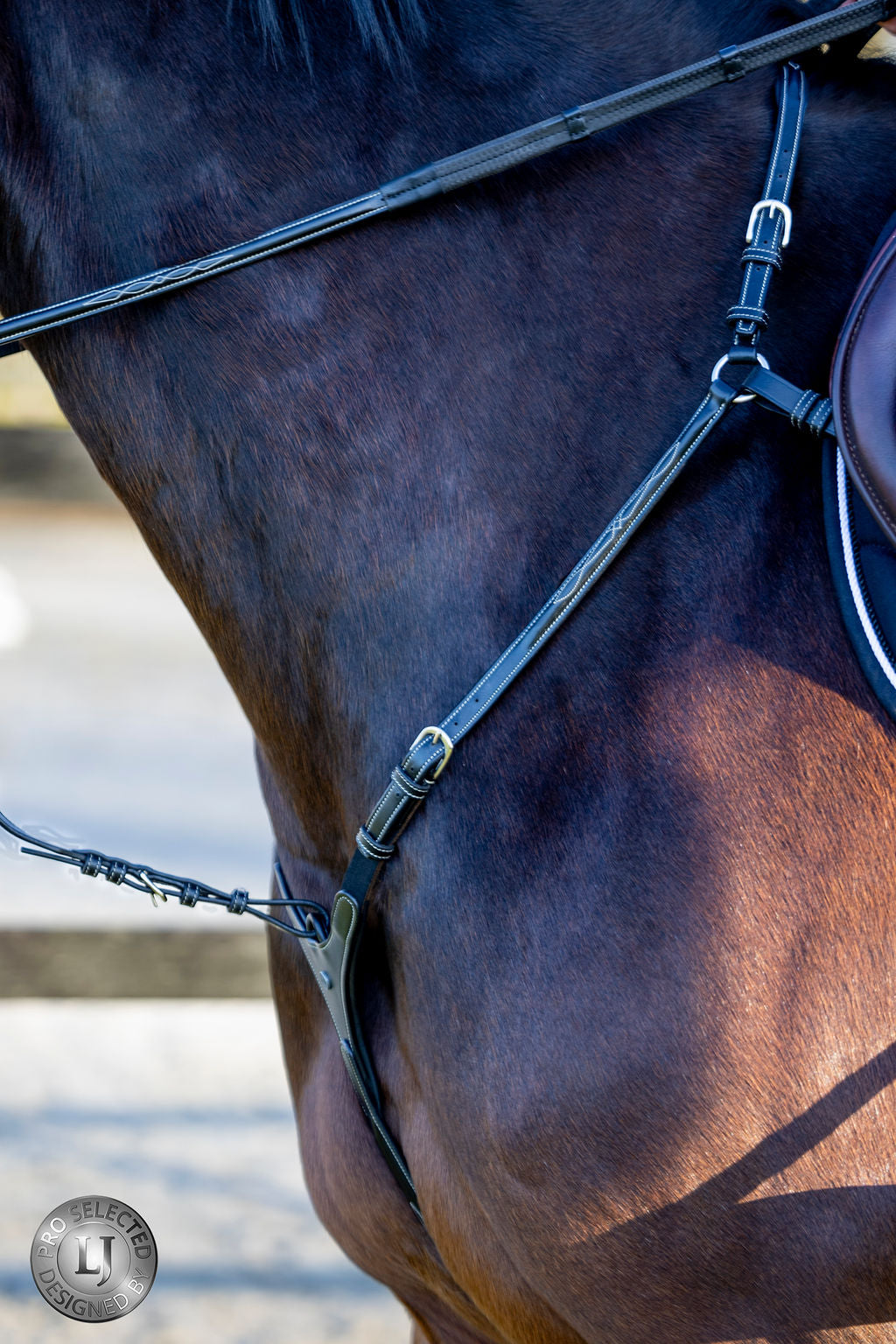 LJ Leathers Pro Selected Heritage 3-punts jachtmartingaal Zwart zwart-zilver