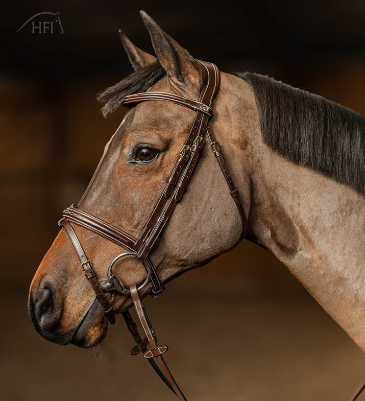 HFI Pro Line Bridle Milano