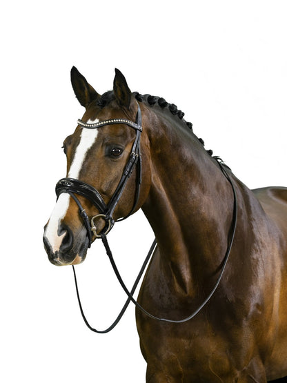 TRUST bridle Rotterdam black padded Black