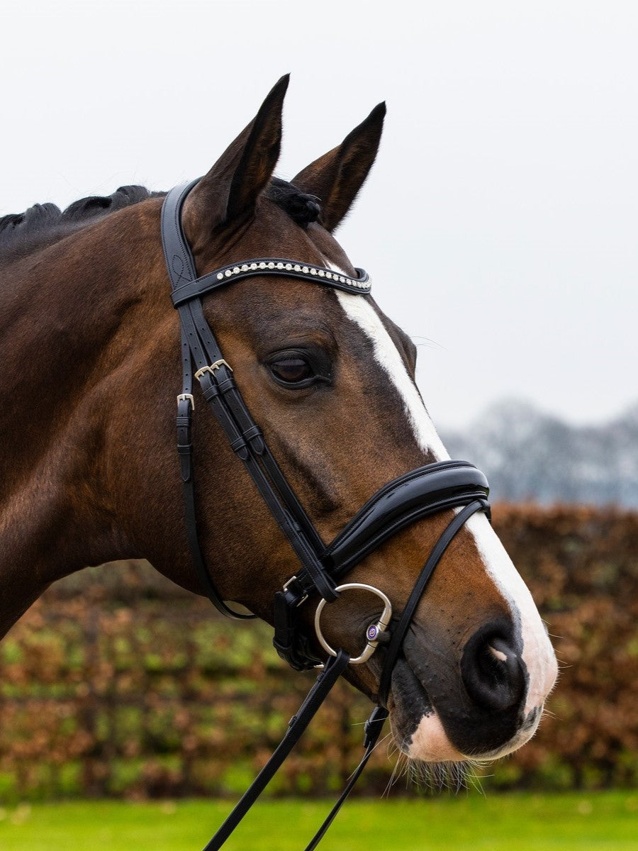 TRUST bridle Rotterdam black padded Black