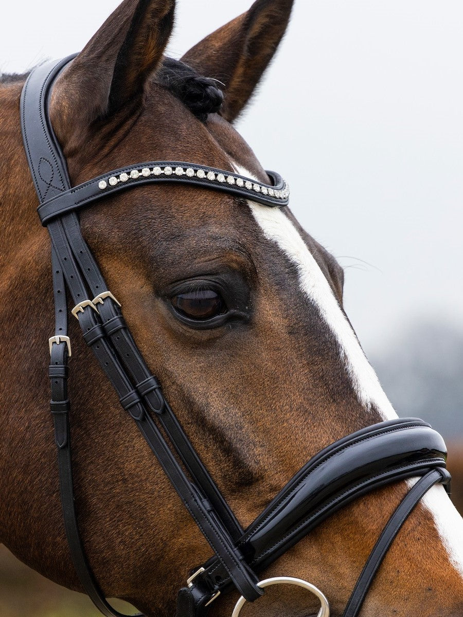 TRUST bridle Rotterdam black padded Black