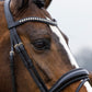 TRUST bridle Rotterdam black padded Black