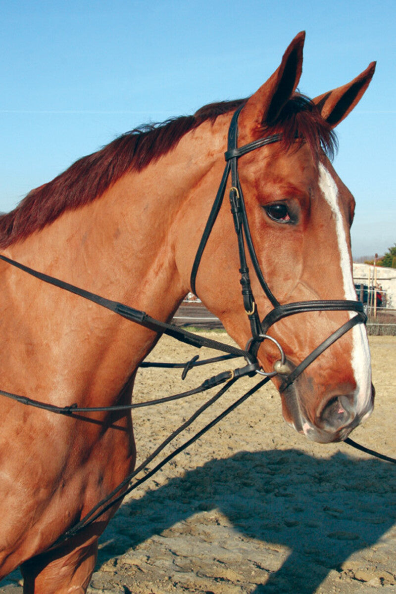 LJ Leathers Slofteugel Leder met koord