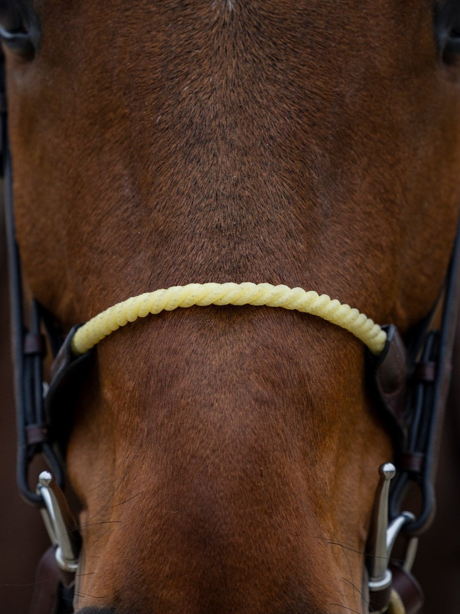 TRUST bridle St. Gallen rope noseband silver buckles Brown