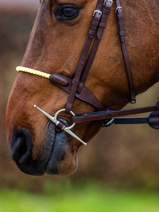 TRUST bridle St. Gallen rope noseband silver buckles Brown