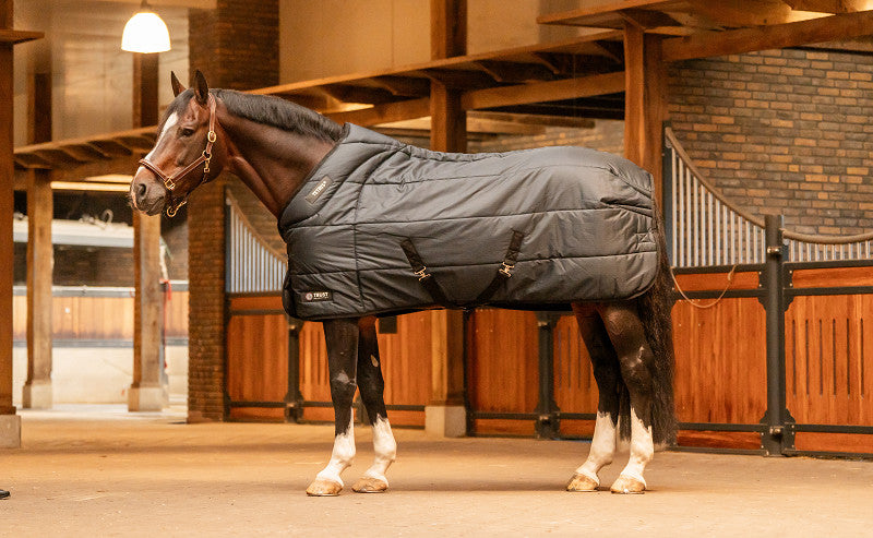 Trust TETRIS stable rug 200 g Navy