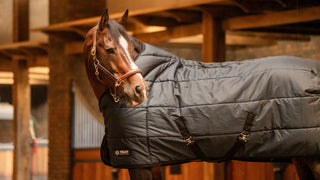 Trust TETRIS stable rug 200 g Navy