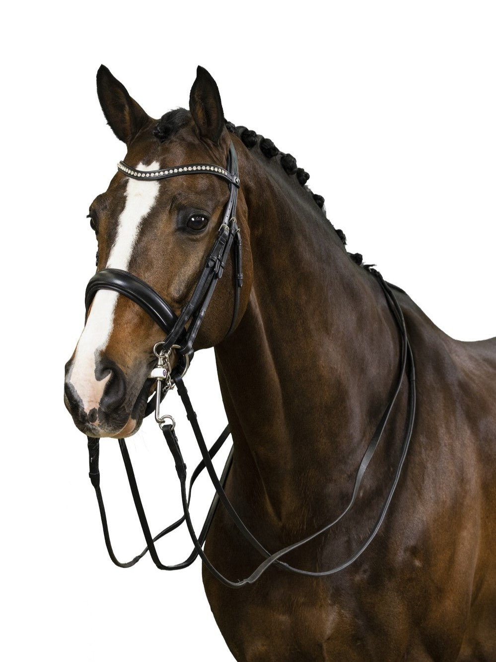 TRUST Wellington Double Bridle black padded Black