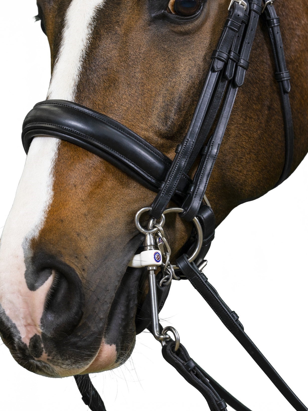 TRUST Wellington Double Bridle black padded Black