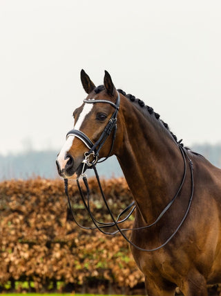 TRUST Aachen Double Bridle Patent noseband white padded Black