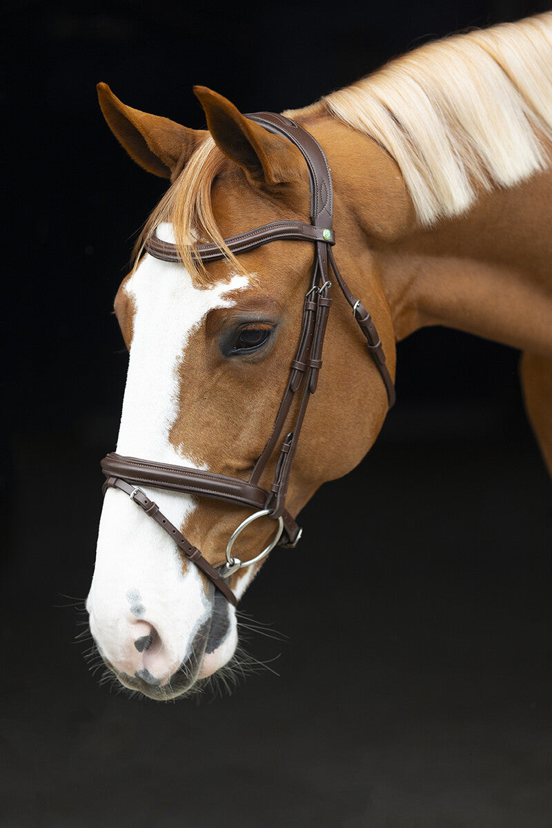 LJ Leathers bridle flash noseband Classic Touch Brown