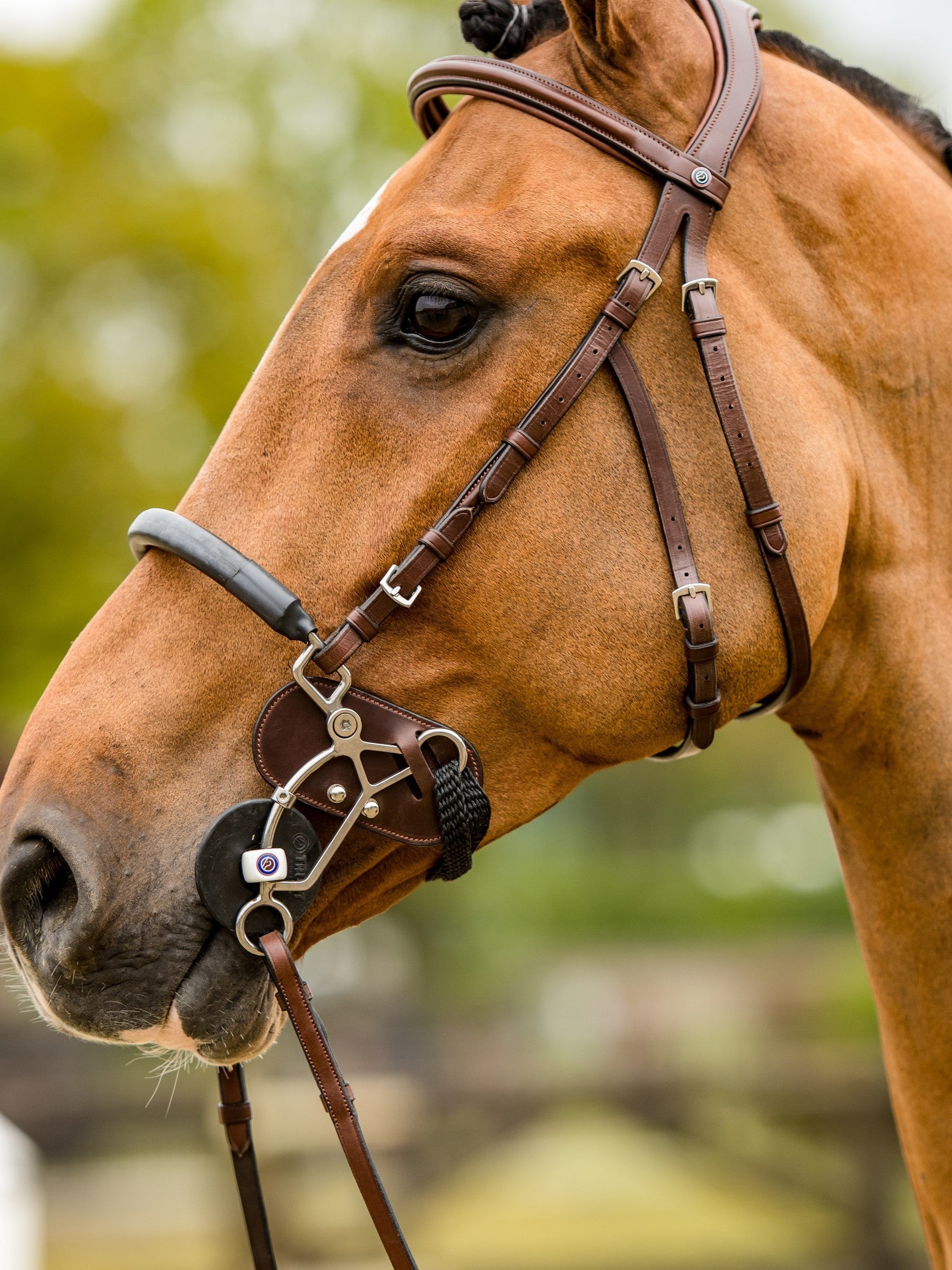 TRUST hoofdstel Hickstead Hackamore bridle zilveren gespen Bruin