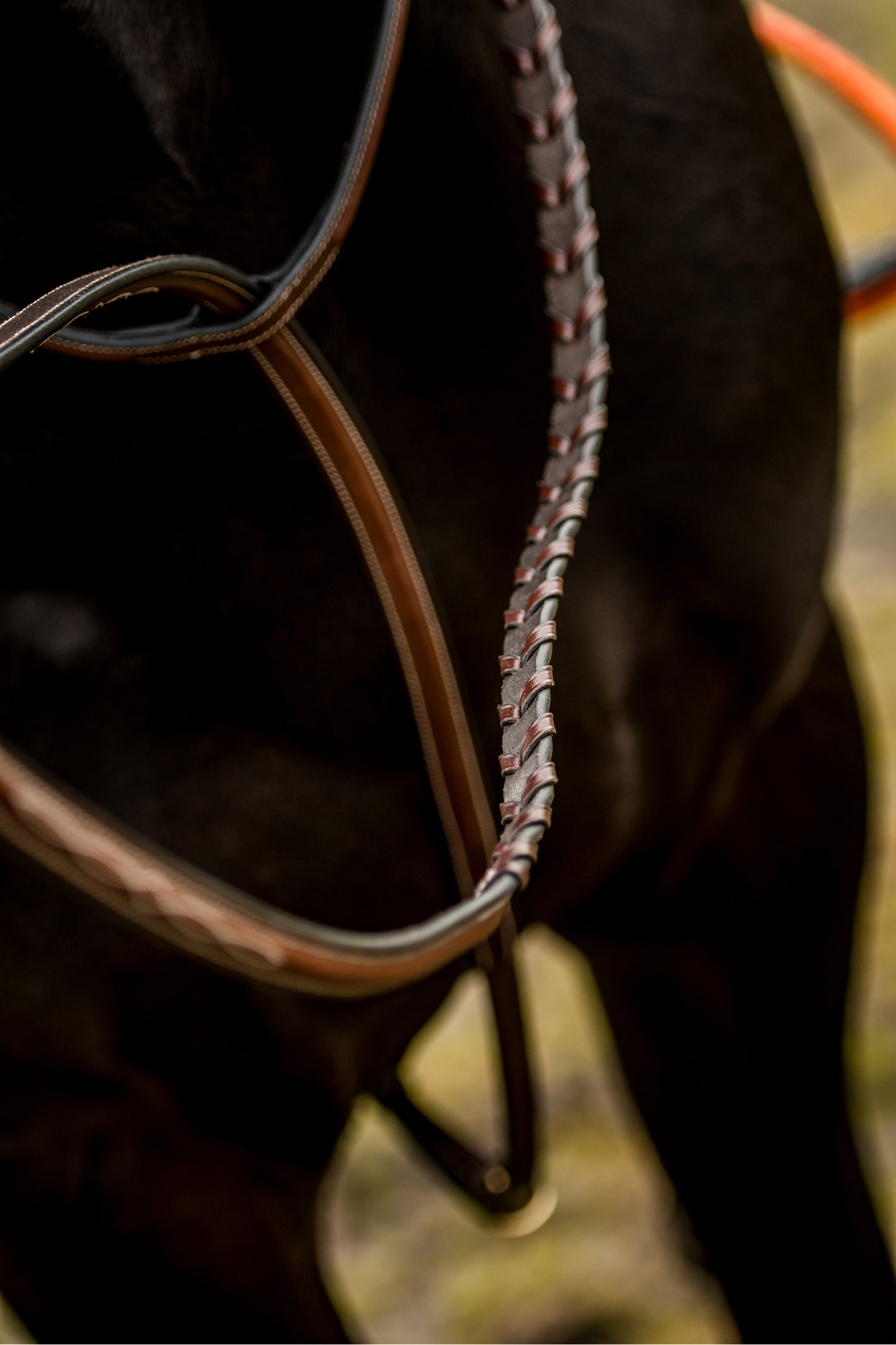 TRUST Hunter standing martingale silver buckles Brown