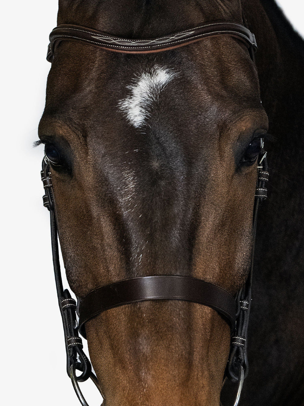 PS of Sweden Hunter Bridle Wellington Brown