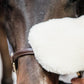Grooming Deluxe Sheepskin grooming glove