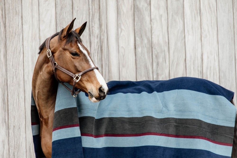 Kentucky Horsewear Heavy Fleece Rug Square Stripes navy/grey