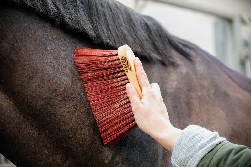 Grooming Deluxe Middle Brush Long Brown