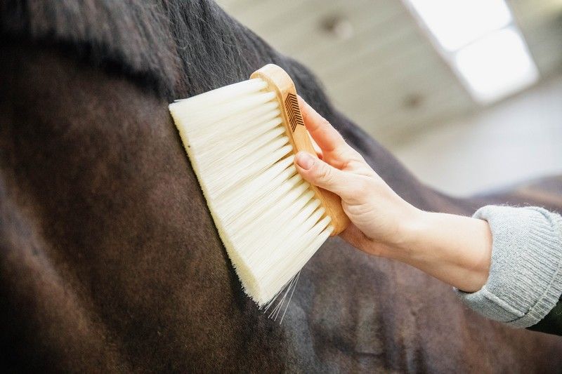 Grooming Deluxe Middle Brush Long Natural