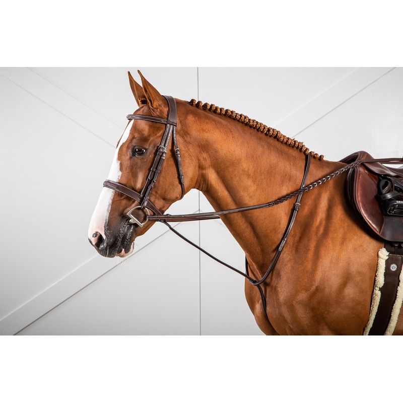 Dy'on Hunter Collection fixed martingale