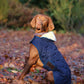 Kentucky Dogwear hondenjas navy - equi-exclusive