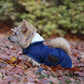 Kentucky Dogwear hondenjas navy - equi-exclusive