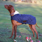 Kentucky Dogwear hondenjas navy - equi-exclusive