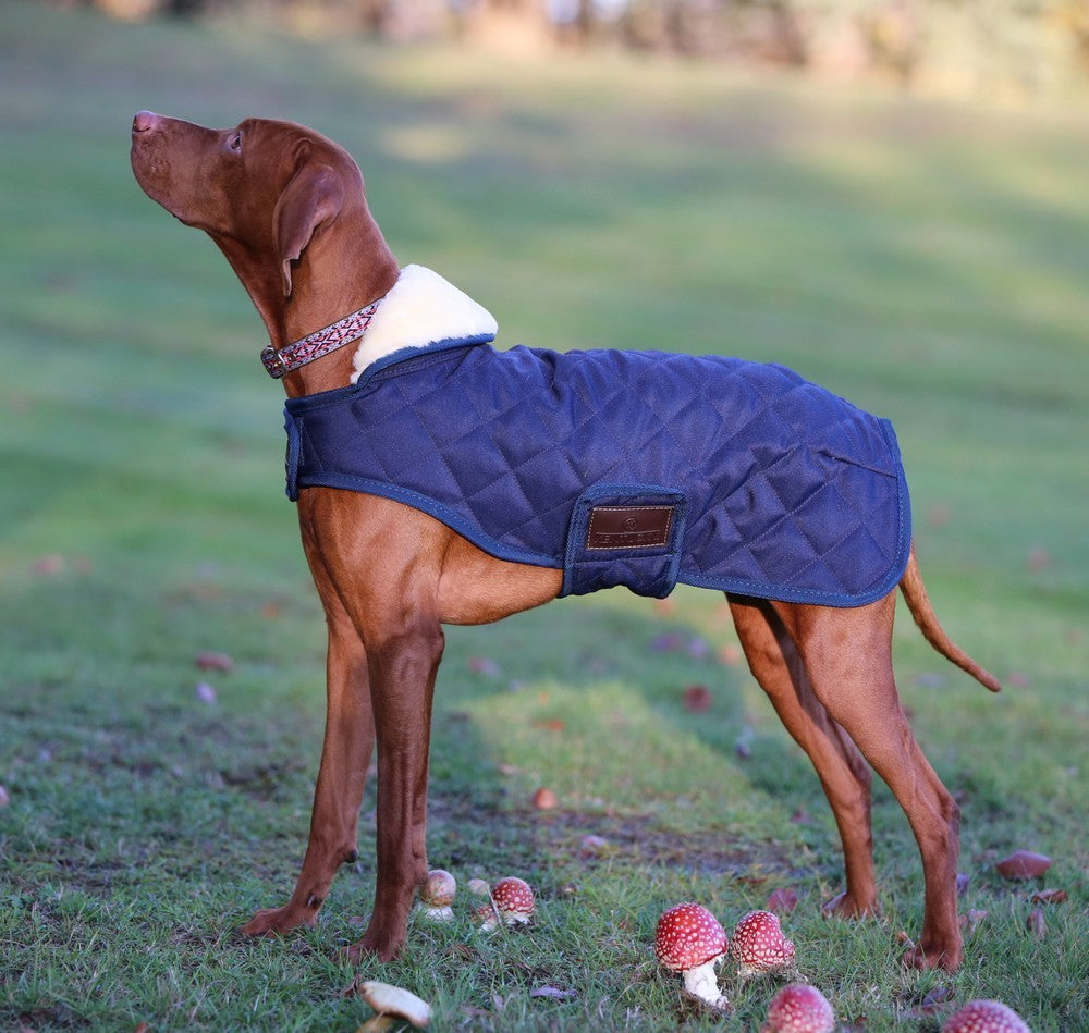 Kentucky Dogwear hondenjas navy - equi-exclusive