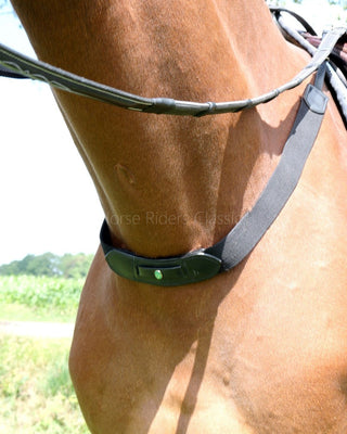 LJ Leathers Borsttuig elastiek - equi-exclusive