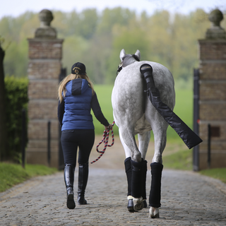 Kentucky Horsewear Stable and Transport Wool Bandages Navy