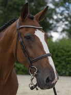 Stallmeister frontriem clincher bruin