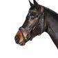Equiline Bridle Anatomic small Flash noseband