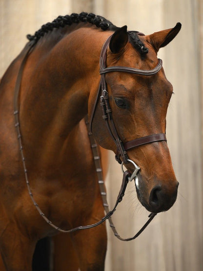 PS of Sweden Hunter Bridle Wellington Brown