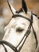 LJ Leathers New Pro hoofdstel gecombineerde neusriem