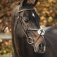 LJ Leathers New Pro bridle figure 8 noseband