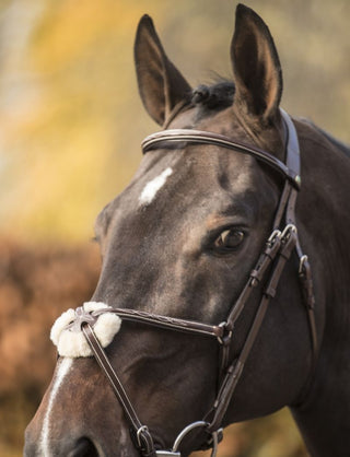 LJ Leathers New Pro bridle figure 8 noseband