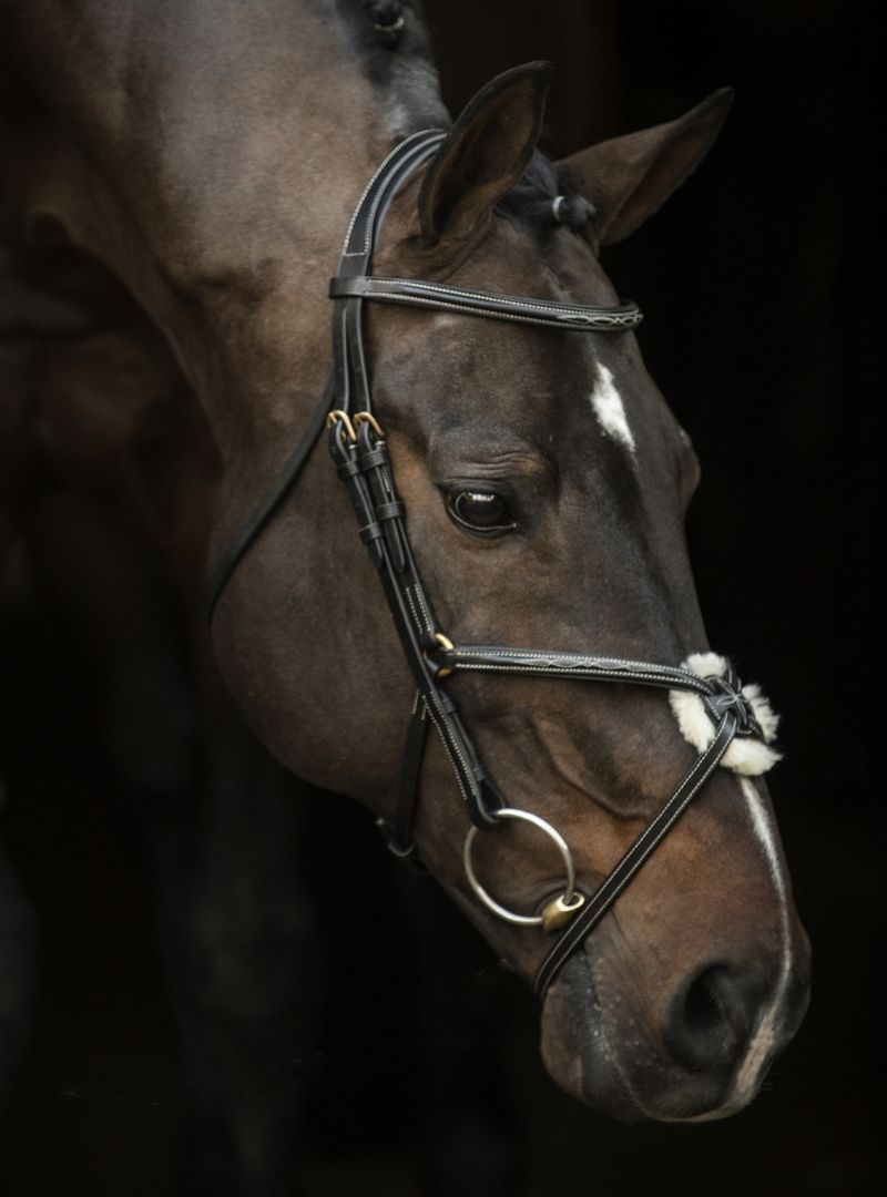 LJ Leathers New Pro bridle figure 8 noseband