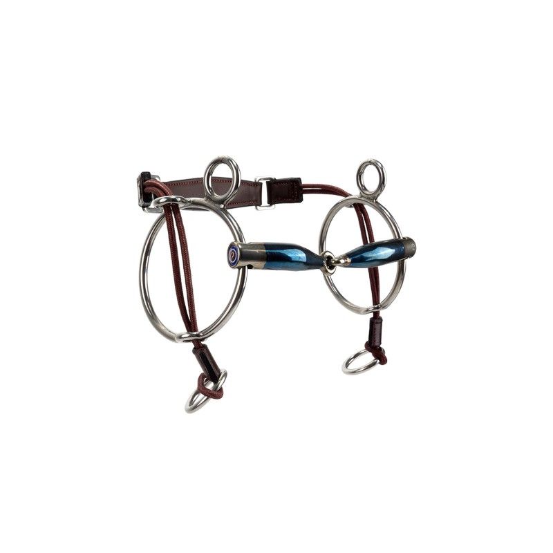 TRUST equestrian Sweet Iron Jointed Curbgag